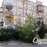 Погода в Одесі на 29 грудня: чим порадує прогноз синоптиків