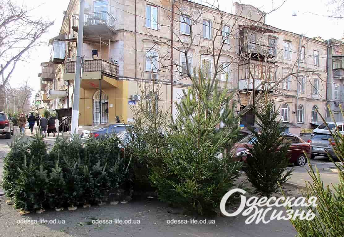 Погода в Одесі на 29 грудня: чим порадує прогноз синоптиків