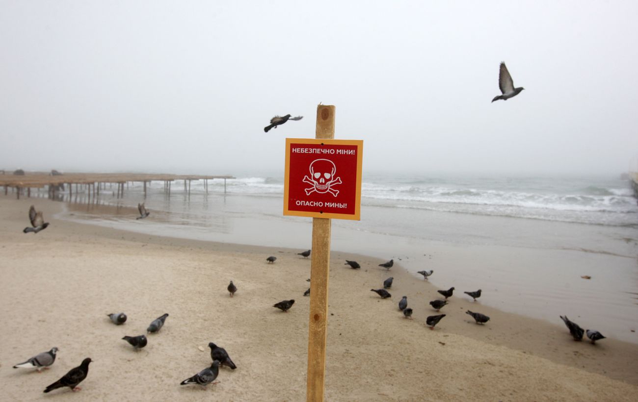 В Одеській області знищили морську міну, яку прибило до пляжу (відео)