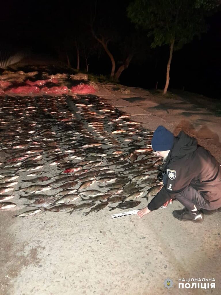 На Одещині рибалки наловили риби “для себе” на 700 тисяч гривень