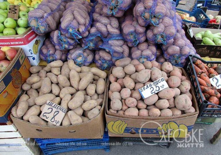 Одеський Новий базар 30 січня: картопля-краса, найдешевші яйця (фоторепортаж)