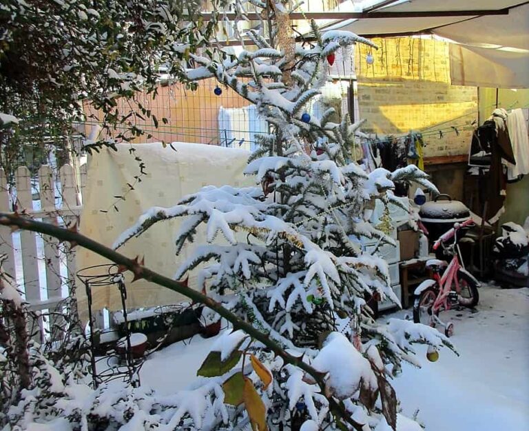 Січень по-одеськи: перший сніг року, мороз, ожеледь і трохи тривоги