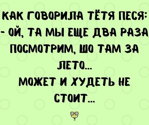 Анекдот дня: страшне прокляття тітки Сари