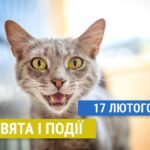 День котів та доброти: які ще свята відзначають 17 лютого