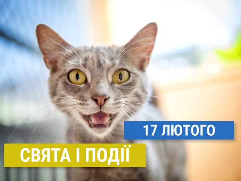 День котів та доброти: які ще свята відзначають 17 лютого