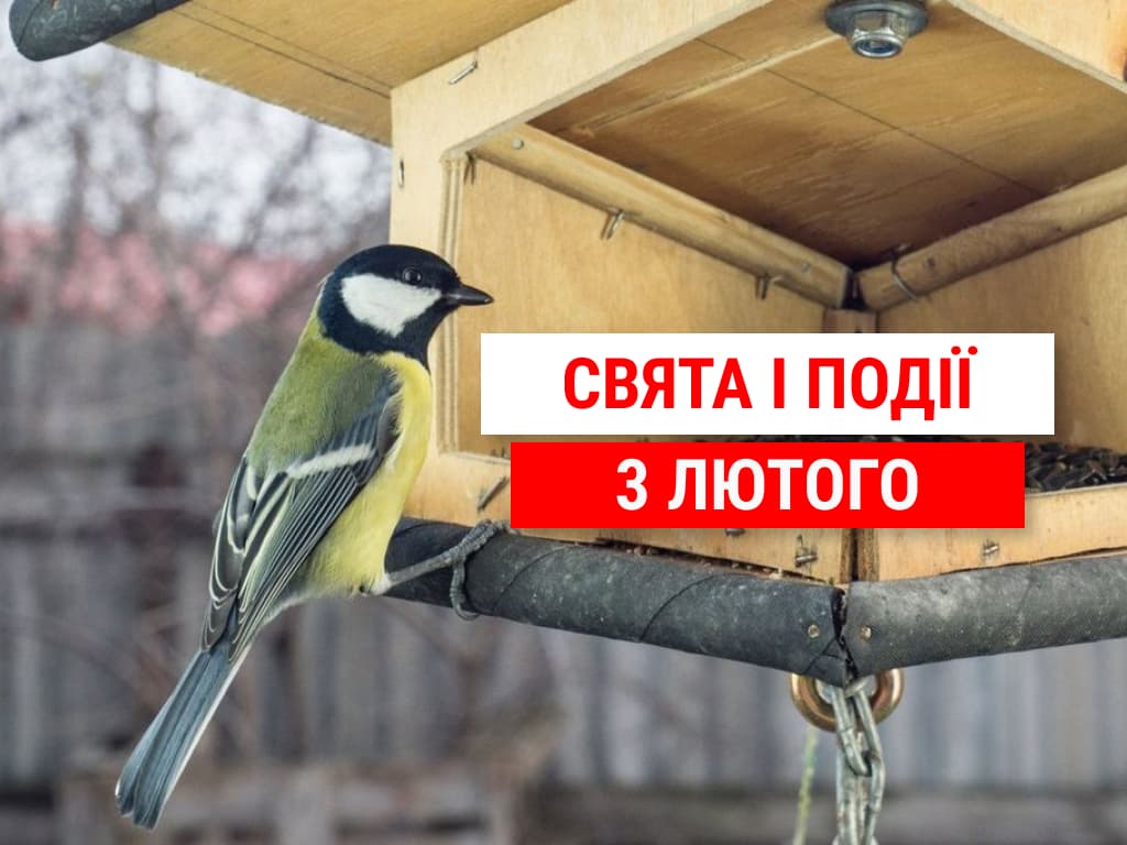 День сьогодні: 3 лютого варто погодувати птахів і культурно розмовляти