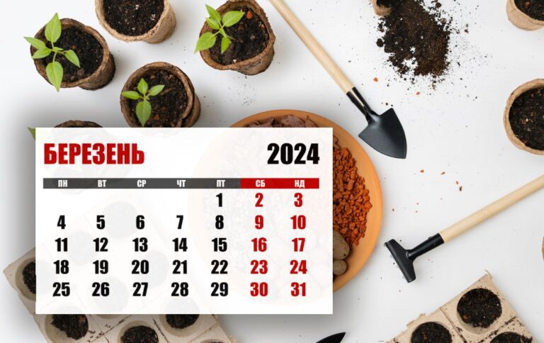 Місячний посівний календар на березень 2024: що та коли садити для гарного врожаю