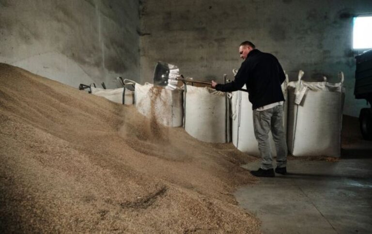 В Мінагрополітики пояснили, хто має компенсувати збитки через розсипане зерно в Польщі