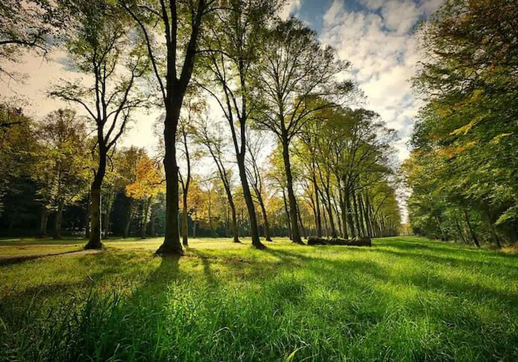 В Одесі з’явилося два нові сквери