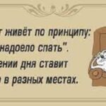 Анекдот дня: тітка Соня і чиясь нахабна фізіономія