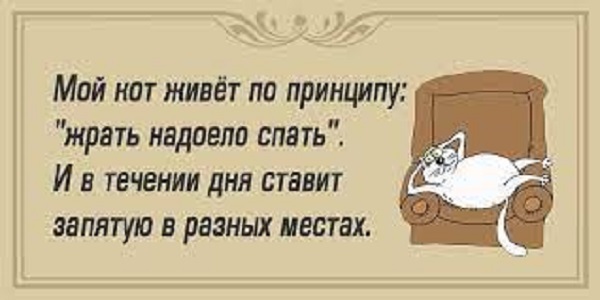 Анекдот дня: тітка Соня і чиясь нахабна фізіономія