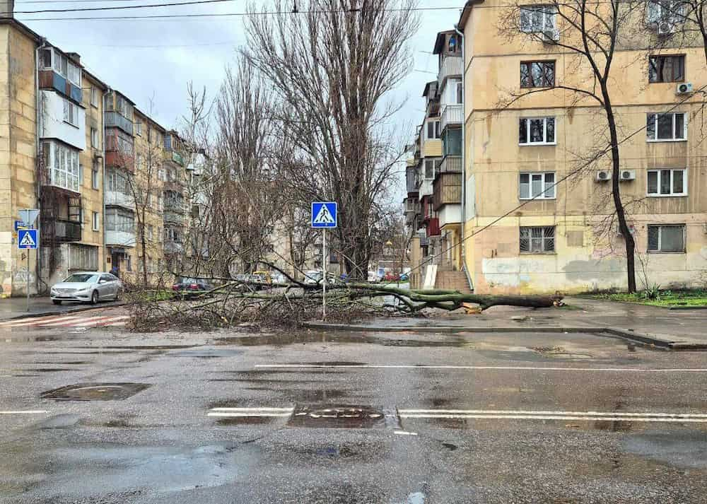 Наслідки негоди: в Одесі шторм повалив дерева, тисячі жителів області залишилися без світла