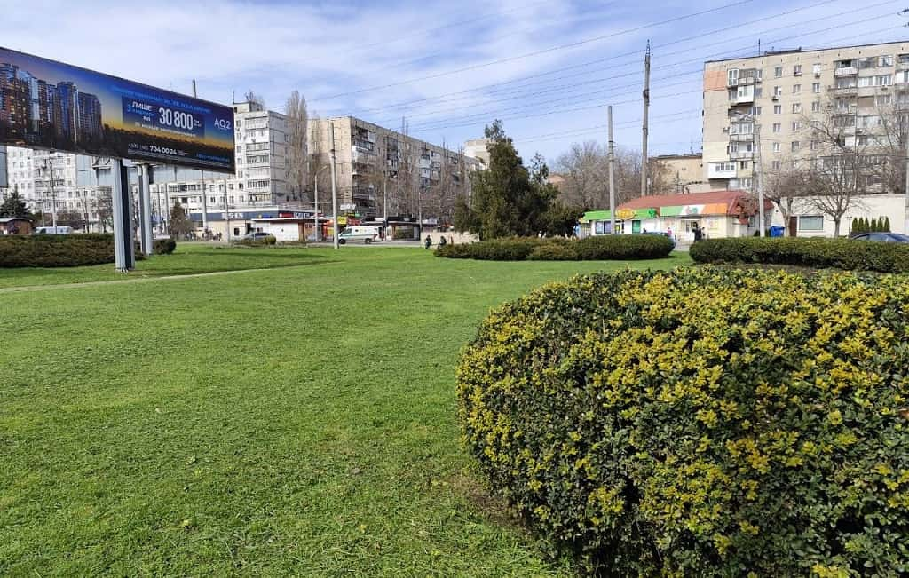 Одесу прикрасять весняними квітами: де та скільки їх висадять (фоторепортаж)