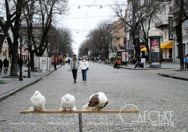 Погода в Одесі: чи чекати на похолодання в середу 6 березня