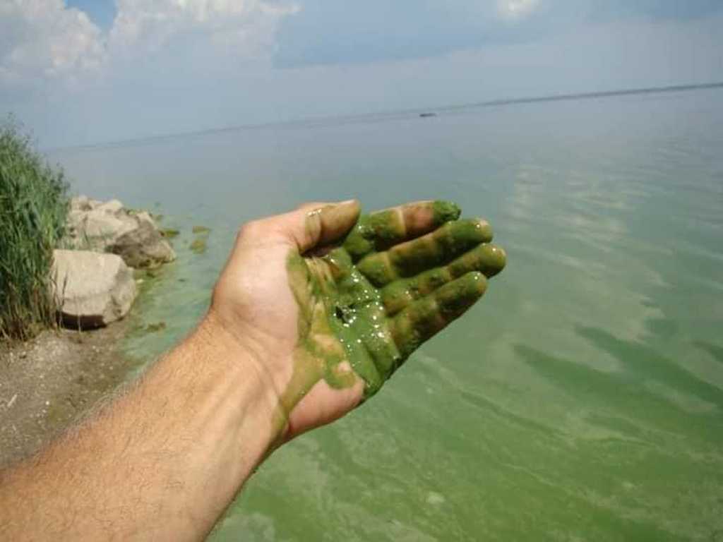 Питна вода в Одесі: звідки її беруть і хто контролює її якість