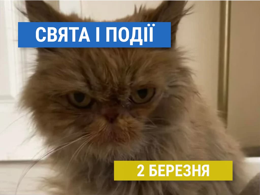 Свята 2 березня: рятуємо котів, згадуємо диски та інші події