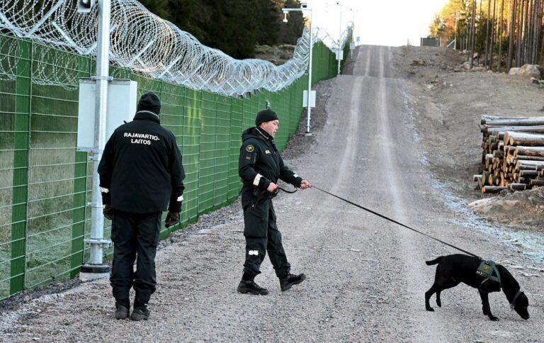 У Фінляндії розслідують незаконне проникнення мігрантів у країну через кордон з РФ