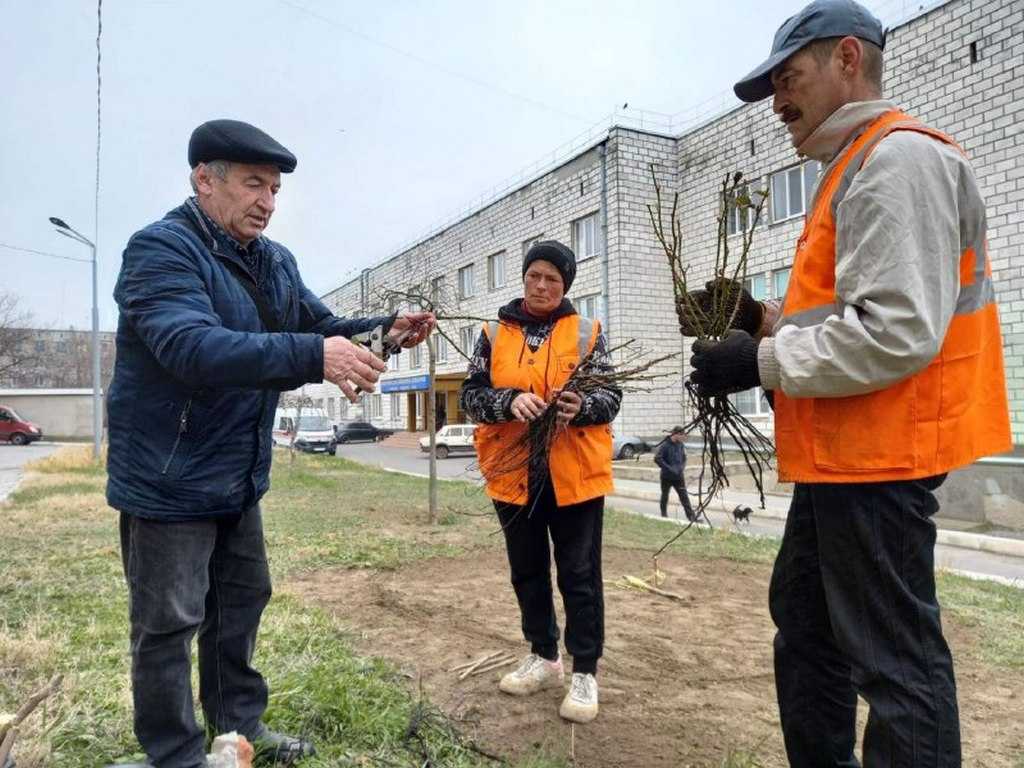 Як директор Будинку культури очолив бригаду двірників