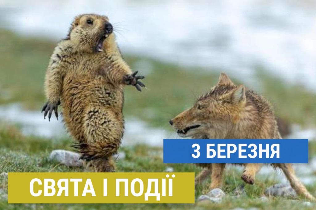 Які свята відзначають в Україні та світі 3 березня 2024 року