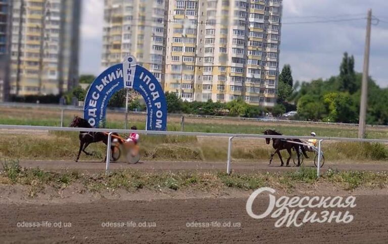 Анекдот дня: випадок на одеському іподромі