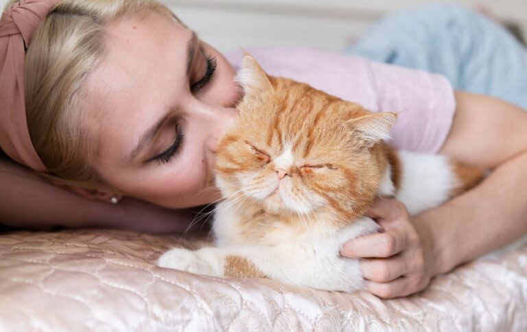 Догляд за котом – як проявити свою любов до улюбленця