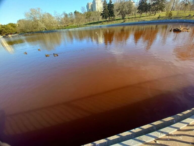 Чому вода в ставках парку Перемоги стала коричневого кольору?