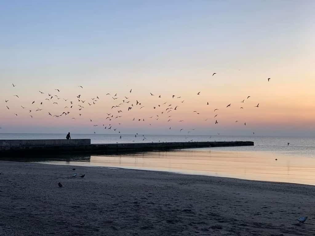 Погода в Одесі: чи підходить для прогулянок неділя 7 квітня