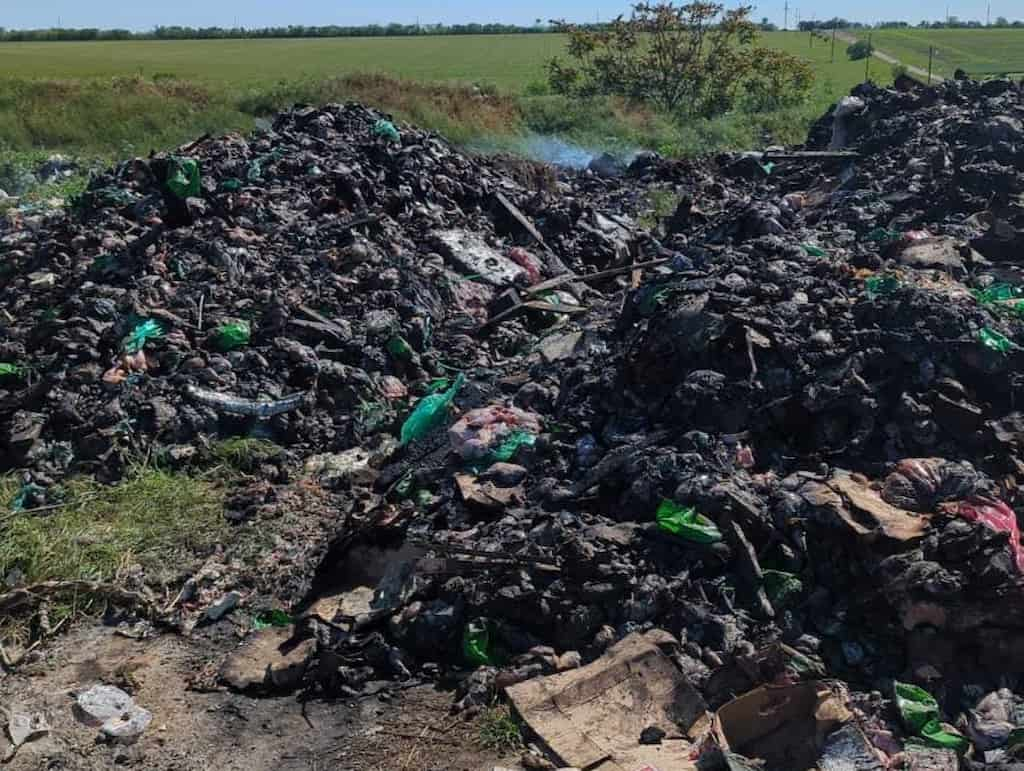 В Одесі намагаються утилізувати гори зіпсованого м’яса: що сталося