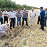 Земля без оранки: як аграрії з Одещини пристосовуються до кліматичних змін