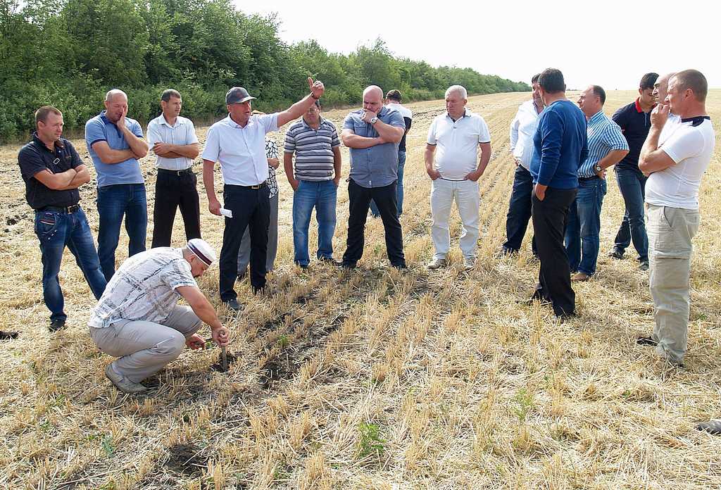 Земля без оранки: як аграрії з Одещини пристосовуються до кліматичних змін