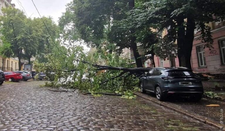 В Одесі розбушувалася негода: Балківську підтопило, а на Дерибасівській упало дерево (фото)