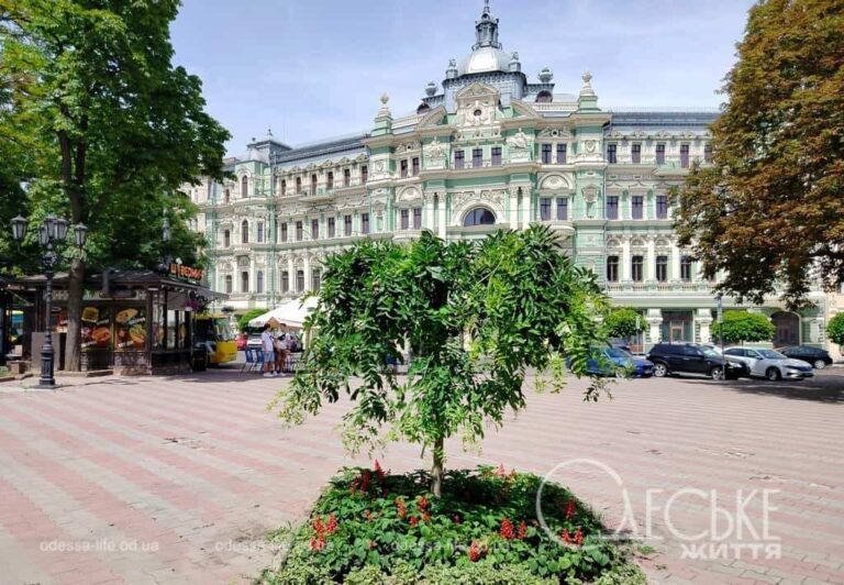 Червень по-одеськи: неділя зі спекою і красою (фоторепортаж)