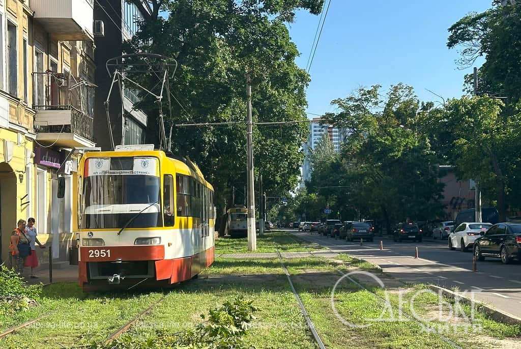 В Одесі гілка, що впала, зупинила 17-й трамвай, а Рішельєвську засипало корою з платанів (фоторепортаж)