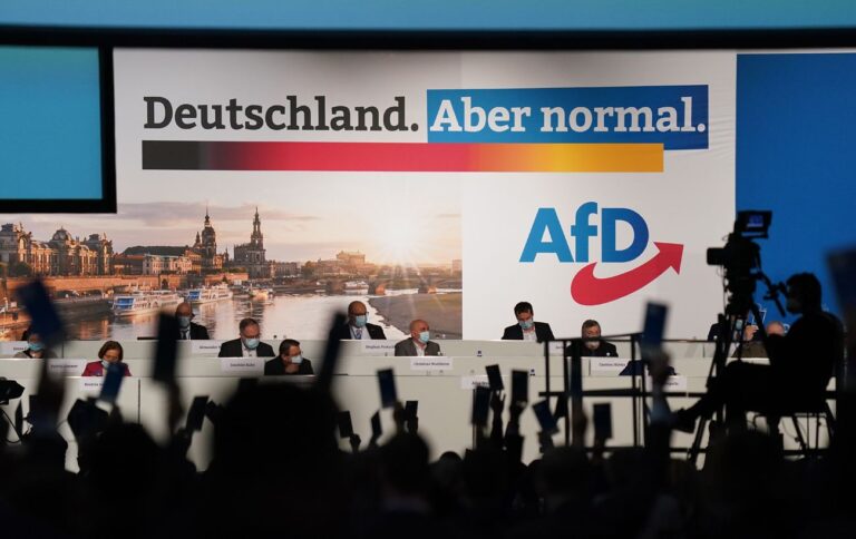 Вибори до Європарламенту – німецькі праворадикали планують створити фракцію, – Die Zeit