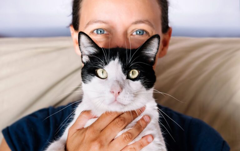 Кішки чорно-білого забарвлення – список порід і фото