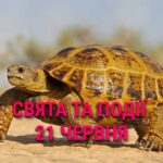 День повільності, селфі та музики: що ще святкують 21 червня