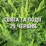 День амброзії, бруду та відмови від домашніх тварин: що ще святкують 29 червня