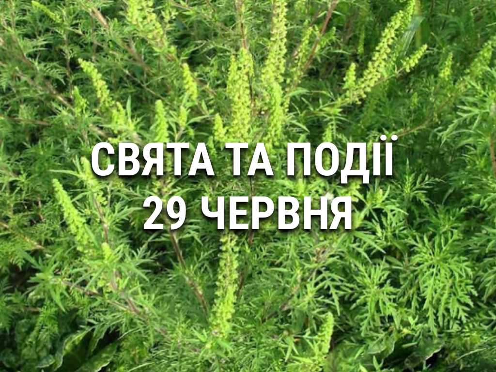 День амброзії, бруду та відмови від домашніх тварин: що ще святкують 29 червня