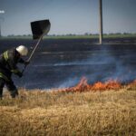 Рятувальники 70 разів за добу виїжджали на стихійні пожежі біля Одеси