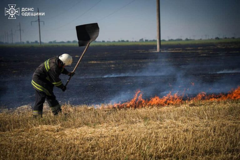 Рятувальники 70 разів за добу виїжджали на стихійні пожежі біля Одеси