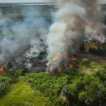 На Одещині вирують пожежі в екосистемах: є постраждалі (відео)