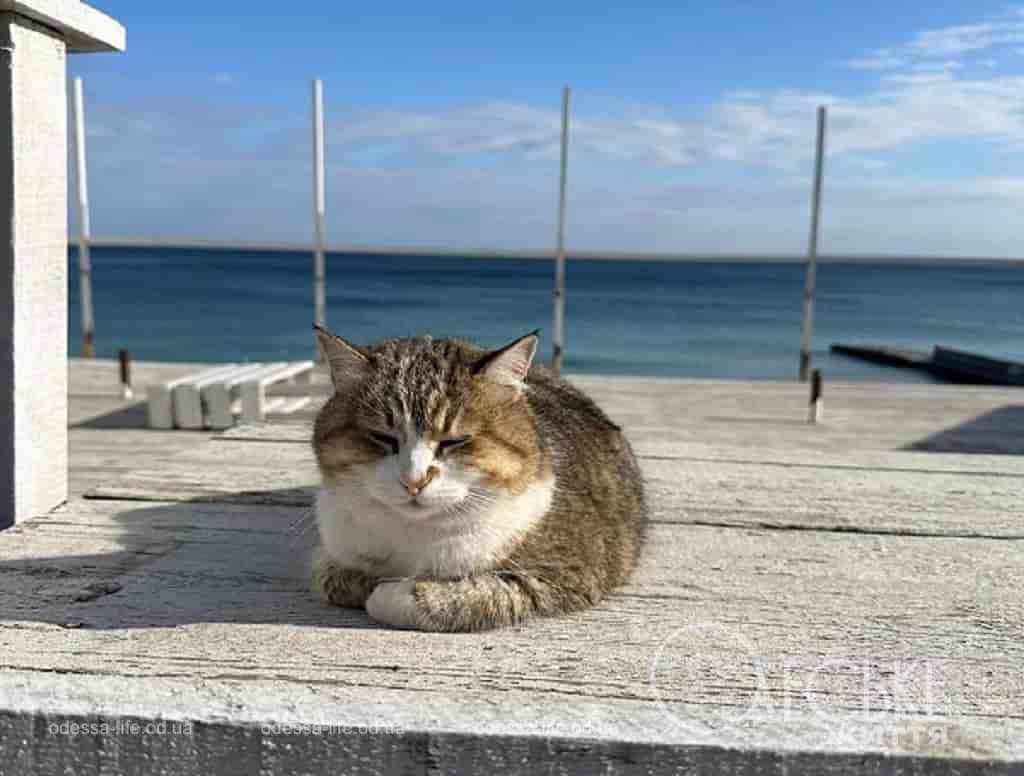 Температура морської води в Одесі сьогодні, 4 жовтня: чи комфортно купатися