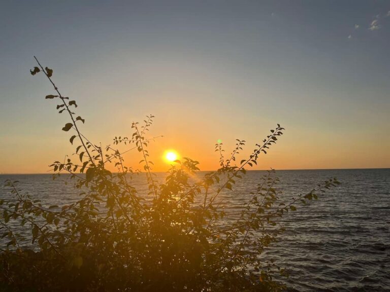 Температура морської води в Одесі сьогодні, 15 серпня: чи можна купатися