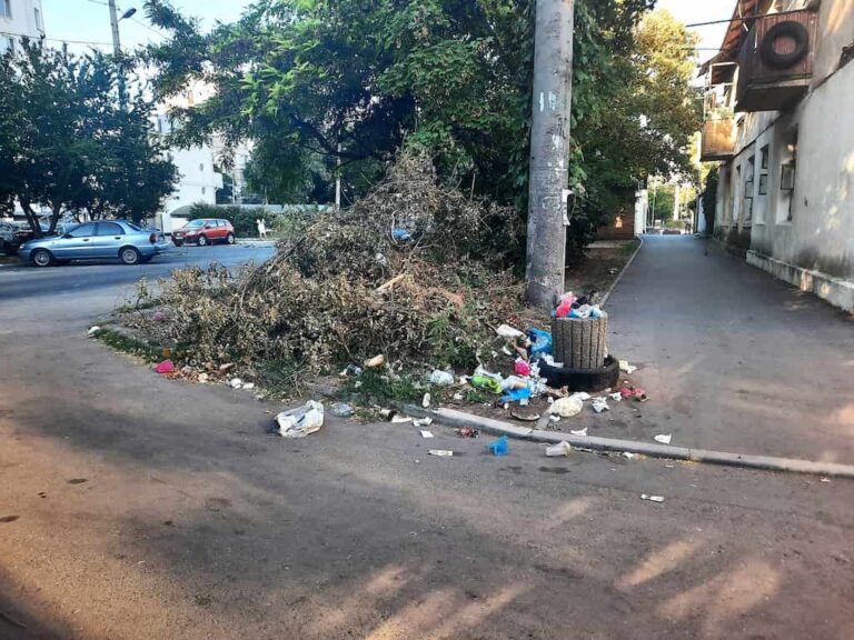 У центрі Одеси після обрізки дерев «виросло» звалище – фотофакт