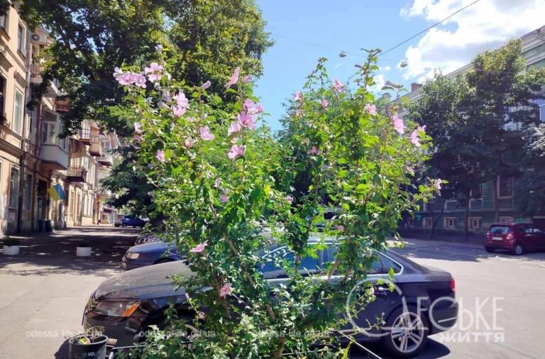 Прогноз погоди у Одесі: яким буде перший день серпня