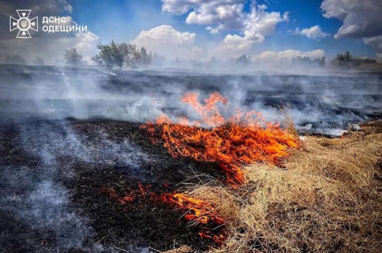 Масштабна пожежа під Одесою: екологи підрахували збитки