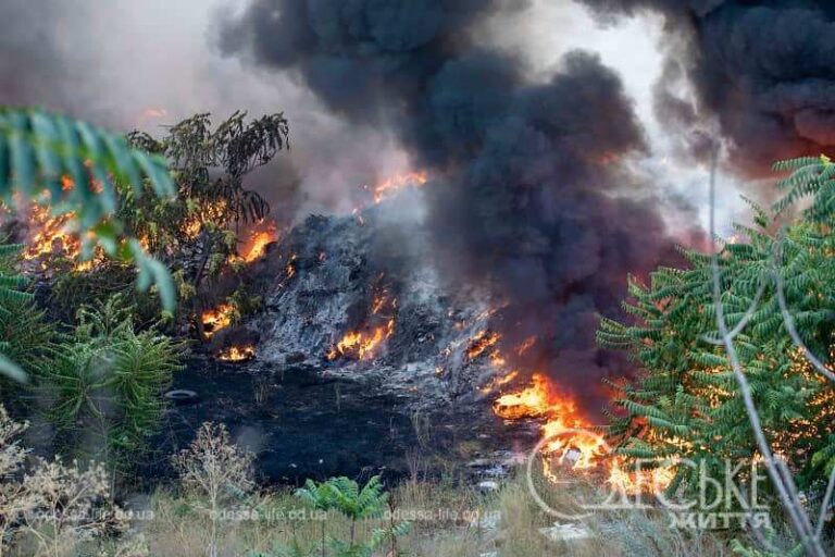 Сморід та пожежі та в Одесі: коли вони припиняться, та хто в цьому винний