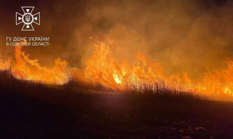 Під Одесою горять плавні, загасити вогонь неможливо: чи є загроза житловим будинкам