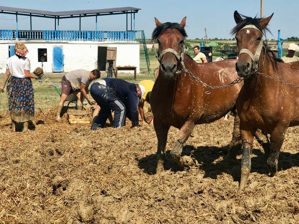 Усім селом місити чамур: як наші пращури будували хати з глини та соломи