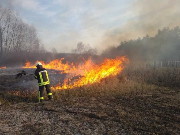 52 пожежі в Одеській області за добу: що і де горіло